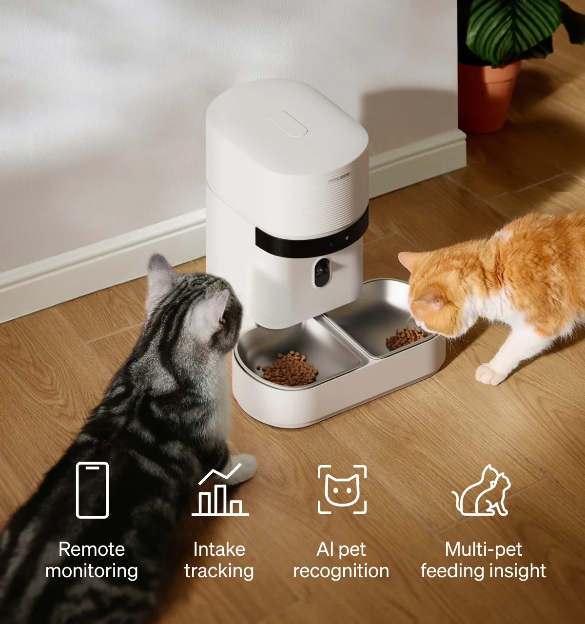 PETLIBRO Granary 2 Vision Duo with two cats